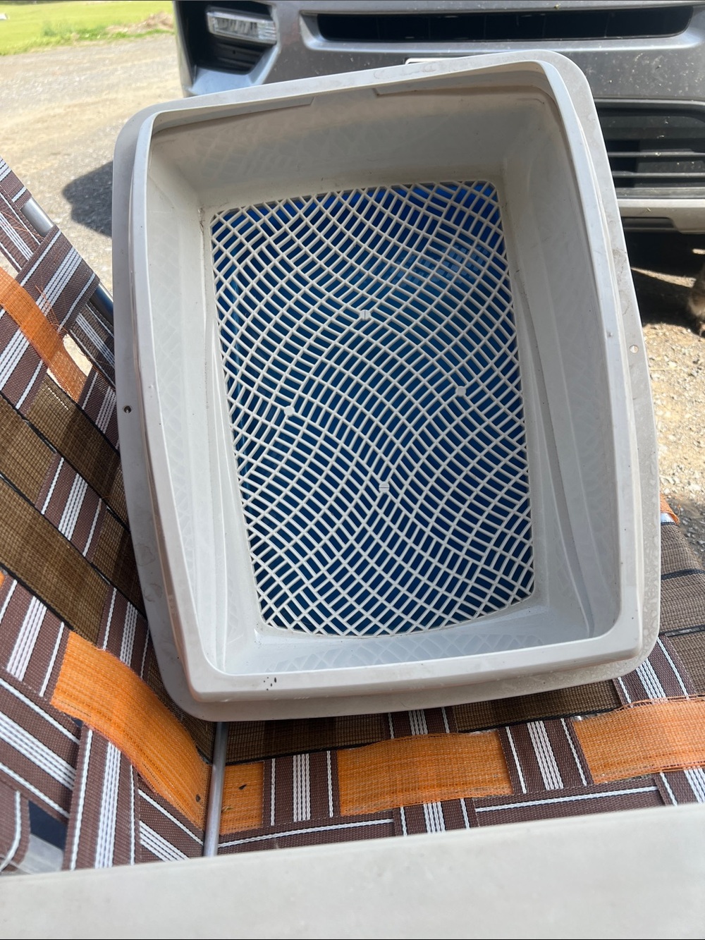 Plastic Cat Litter Box with Blue Grid Insert